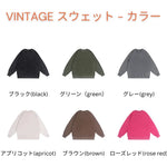 将图片加载到图库查看器，color vintage.webp
