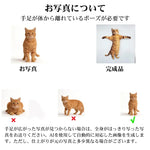 画像をギャラリービューアに読み込む, おもしろぬいぐるみ｜人物・ペット 写真オーダーメイド 全身 ファニー カスタム クッション人形 25cm ギフト 爆笑ギフト
