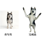 画像をギャラリービューアに読み込む, おもしろぬいぐるみ｜人物・ペット 写真オーダーメイド 全身 ファニー カスタム クッション人形 25cm ギフト 爆笑ギフト
