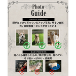 画像をギャラリービューアに読み込む, うちの子 ペットが西洋肖像画風になるペットキャンバスアート｜ギフト・記念日にも Cat 4
