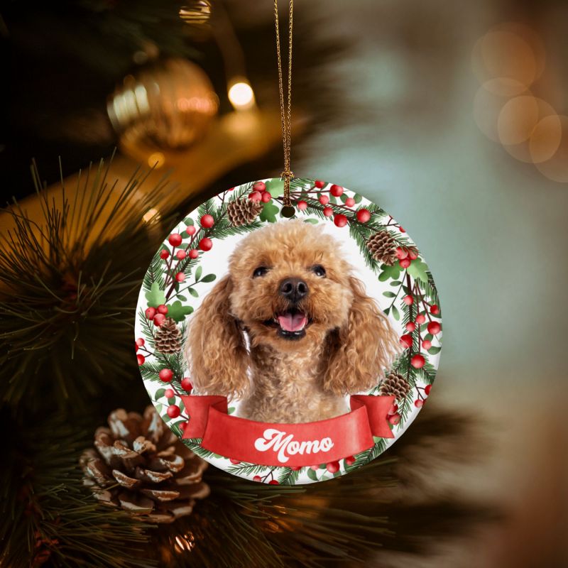 2025クリスマス限定！オーダーメイド うちの子グッズ  ペット写真 クリスマスオーナメント｜名前入り・陶器製・愛犬猫