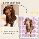 画像をギャラリービューアに読み込む, 【名入れ】うちの子水彩イラストTシャツ｜ペット写真で作るオリジナルTシャツ
