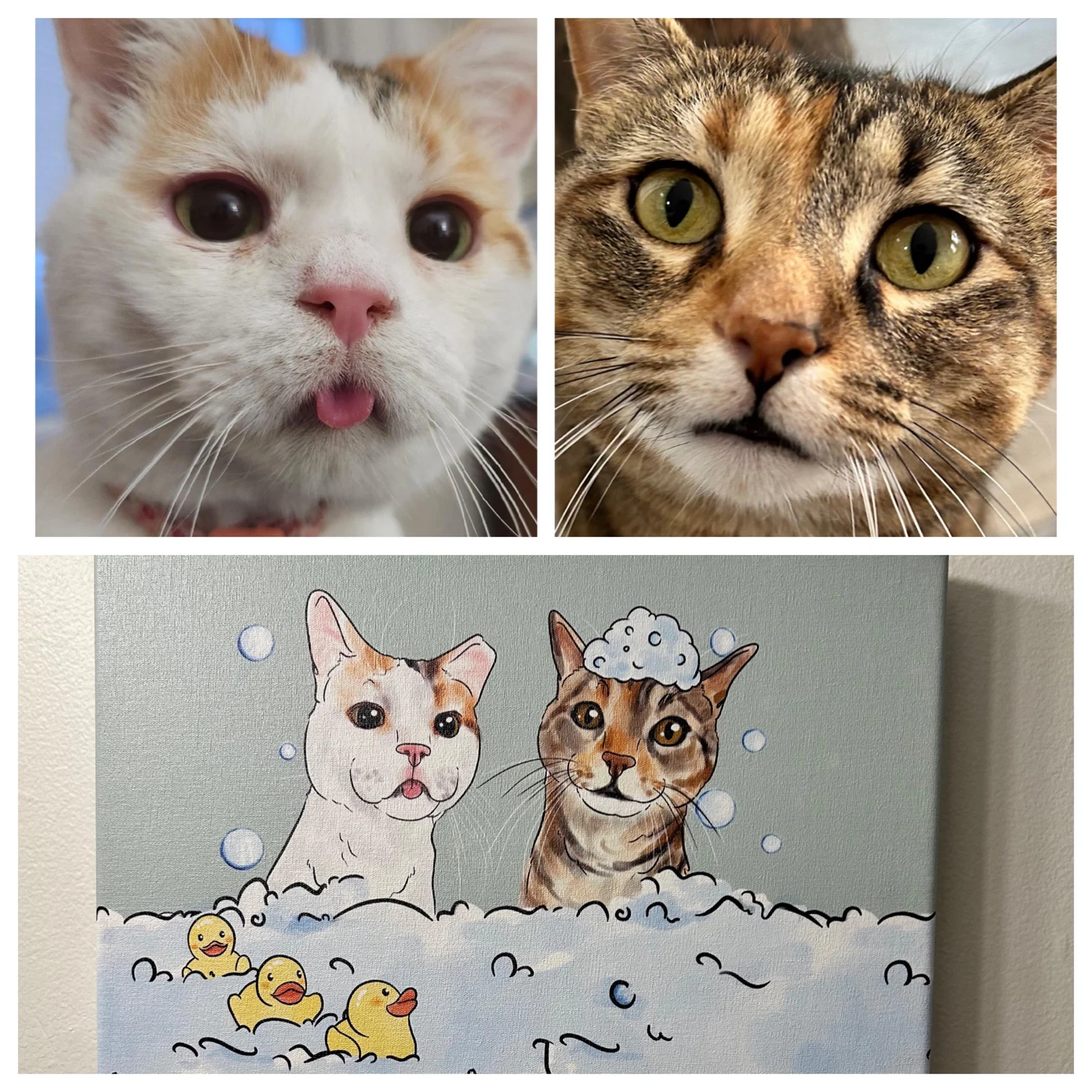 ペット似顔絵 キャンバス うちの子 インテリア 面白いペットのバスルームプリント