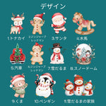 将图片加载到图库查看器，2025クリスマス限定！オーダーメイド クリスマスオーナメント｜名前入り・選べるデザイン・陶器製｜グリーンリース 2
